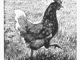 Høne i farta. Linosnitt 15x15 cm. 2016